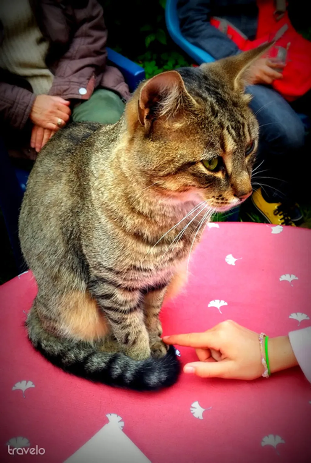 Fotó: mimi 