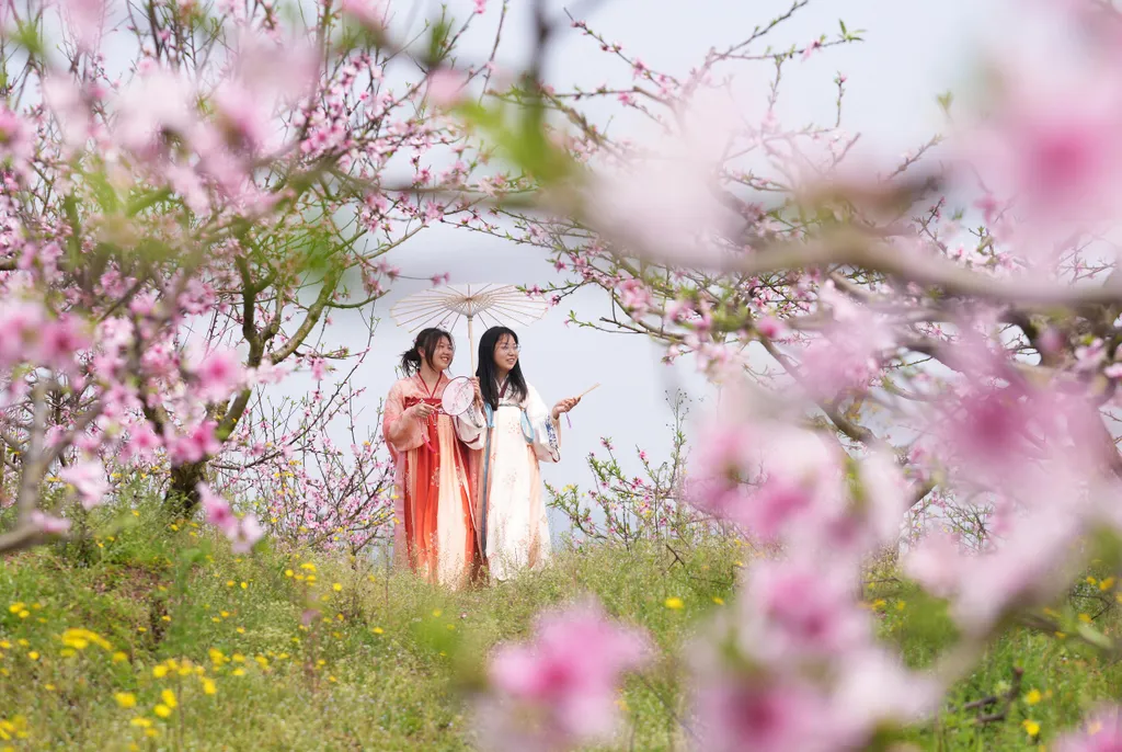 Forrás: Xinhua via AFP/Xinhua News Agency.All Rights Reserved/Qin Tingfu