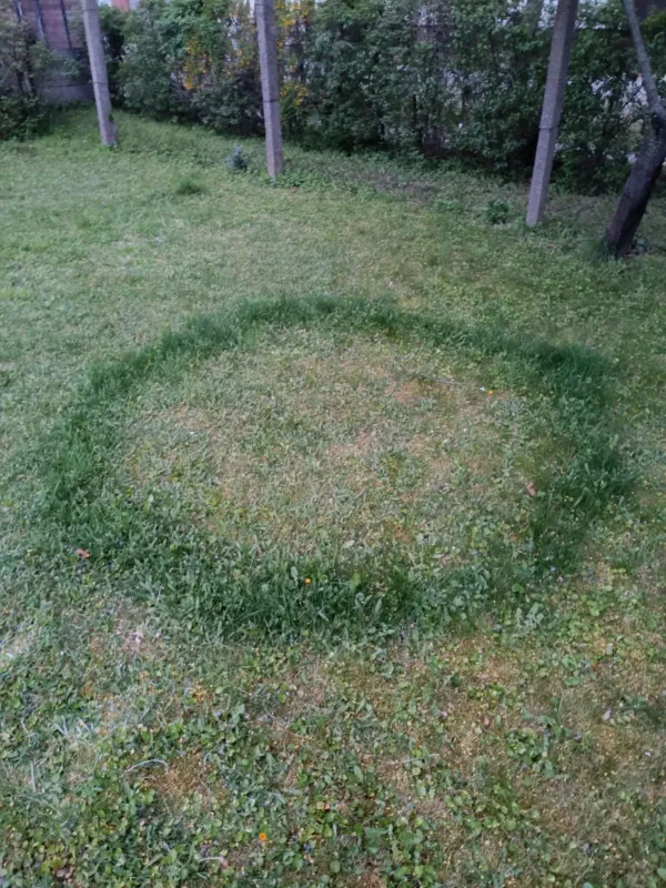 ufó ufo