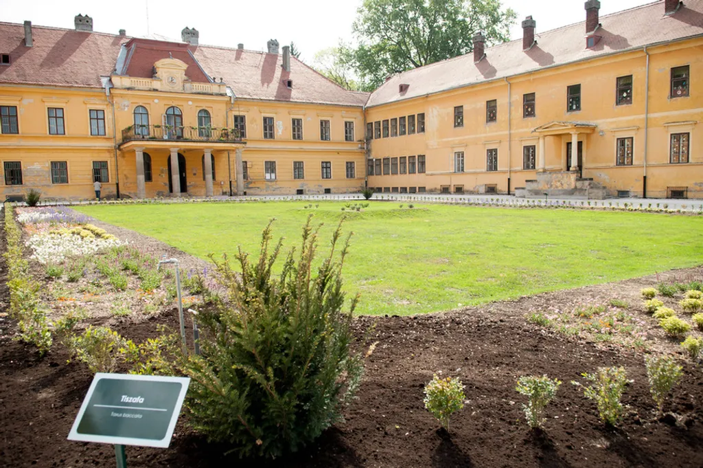 Fotó: Gergely Szilárd / MTI 