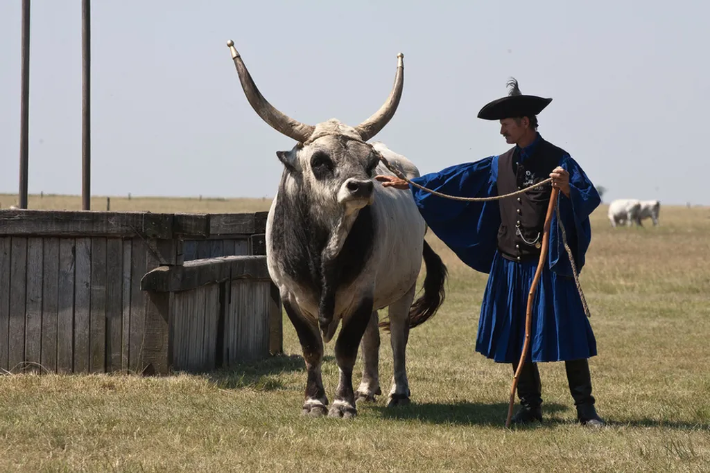 Forrás: Travelo 