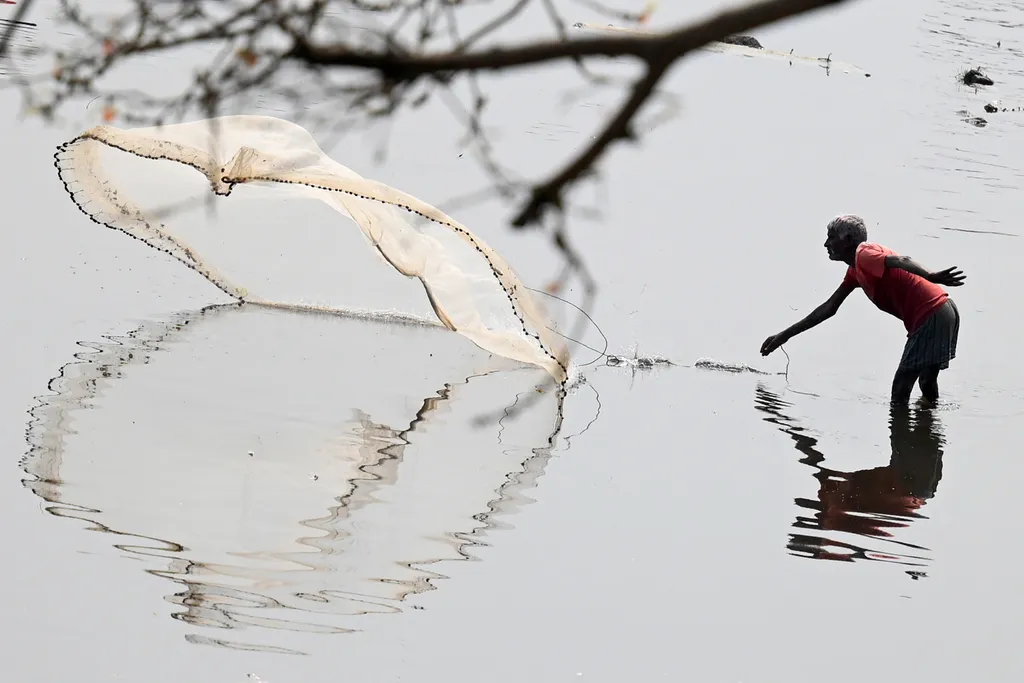 Forrás: AFP/Money Sharma