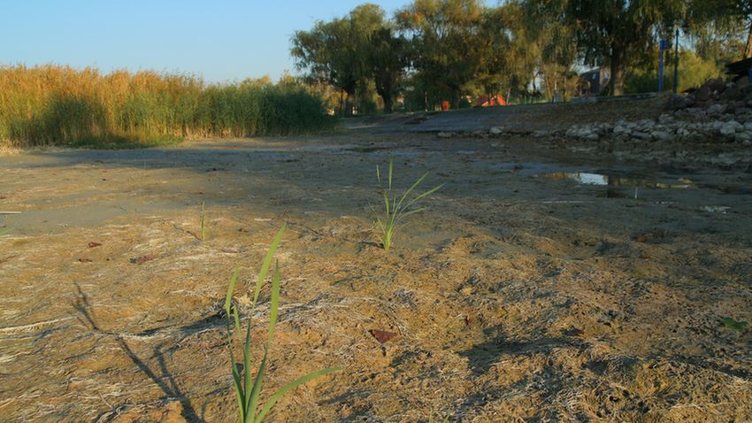 Sekély Balaton