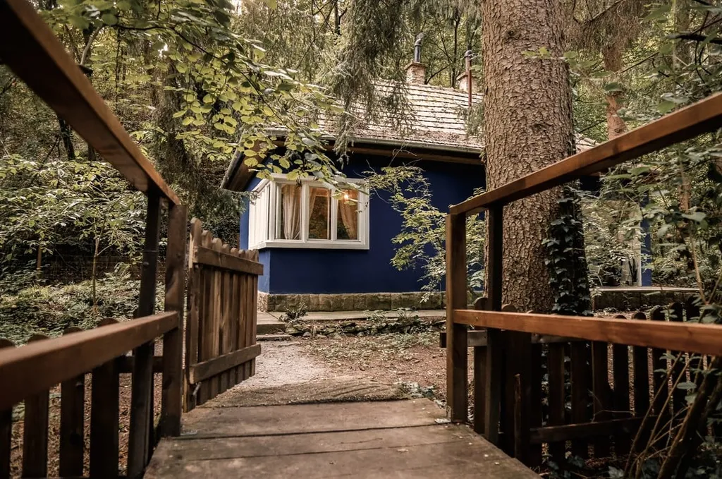 Forrás:Koppány Zsófia