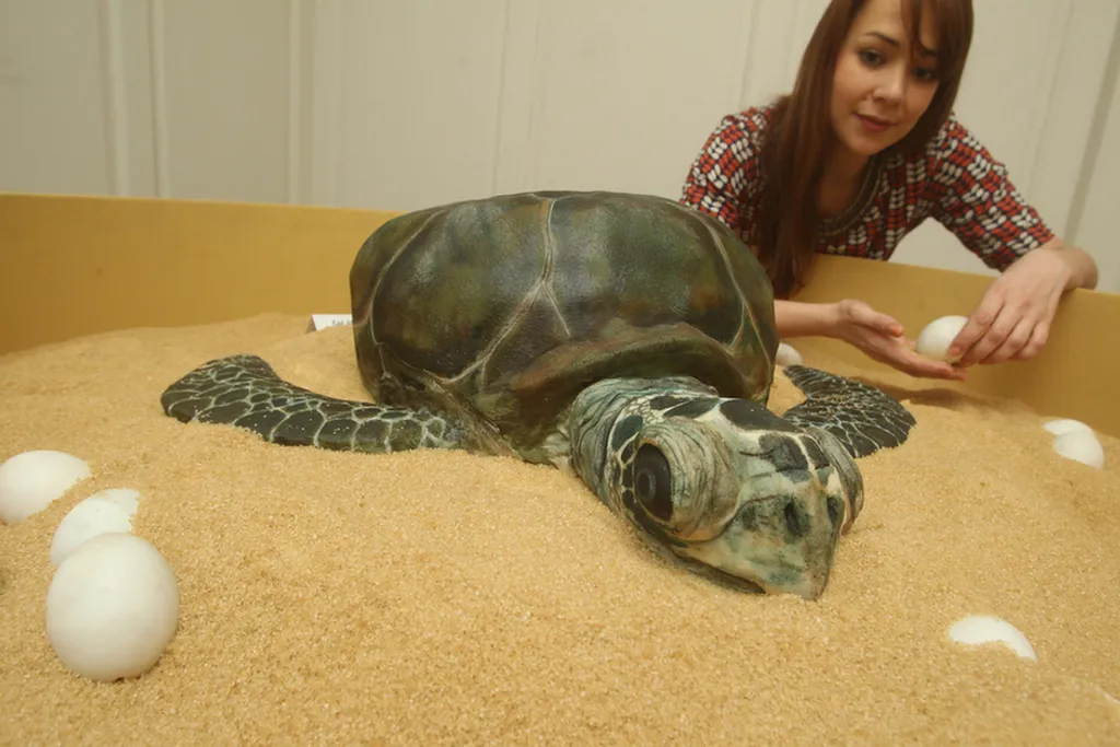 Fotó: Lewis Whyld / Northfoto 