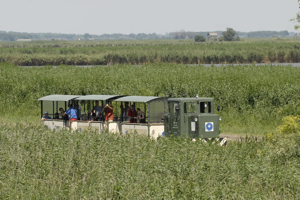 Forrás: Travelo 