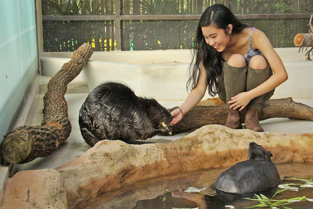 Fotó: Wildlife Reserves Singapore 