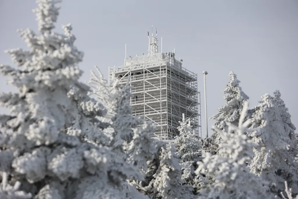 Forrás: dpa Picture-Alliance via AFP/Matthias Bein