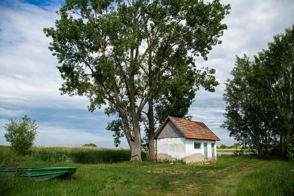 Forrás: Origo 