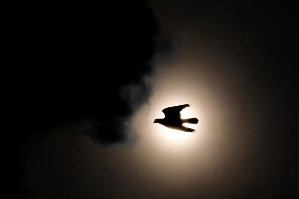 Forrás: AFP/Bay Ismoyo