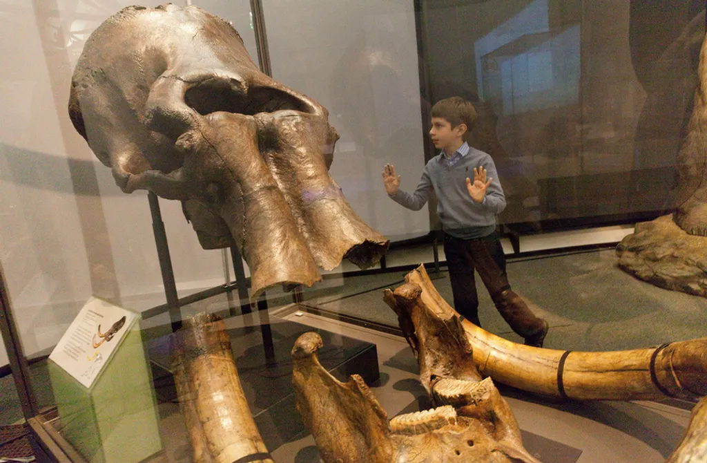 Fotó: Kevin Webb/nhm Image Resources / Natural History Museum 