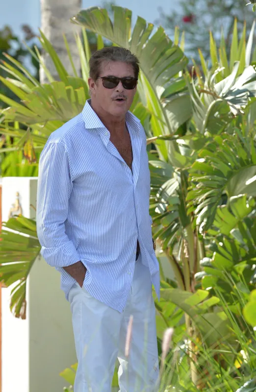 David Hasselhoff nem jelent meg exfelesége temetésén. 