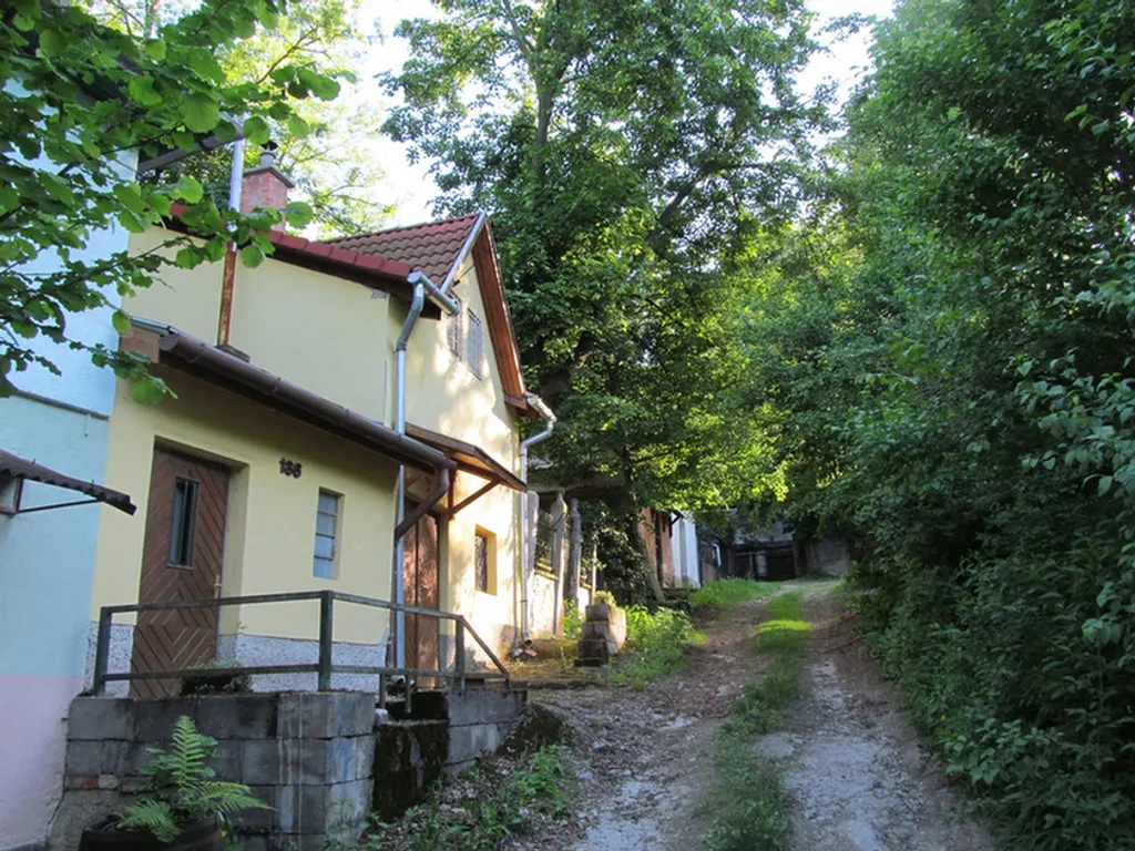 Fotó: Kupcsik Sarolta / Miskolc TDM 