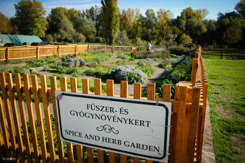 Fotó: Csikesz Mariann 