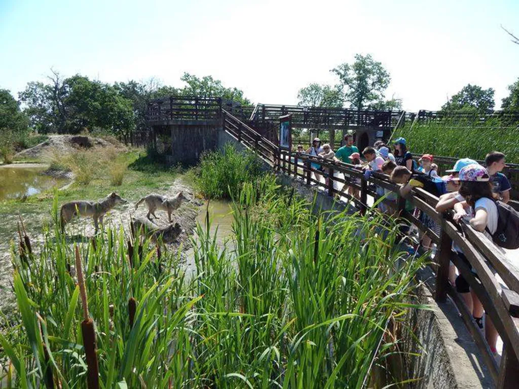Fotó: Hortobágyi Nemzeti Park Igazgatóság 