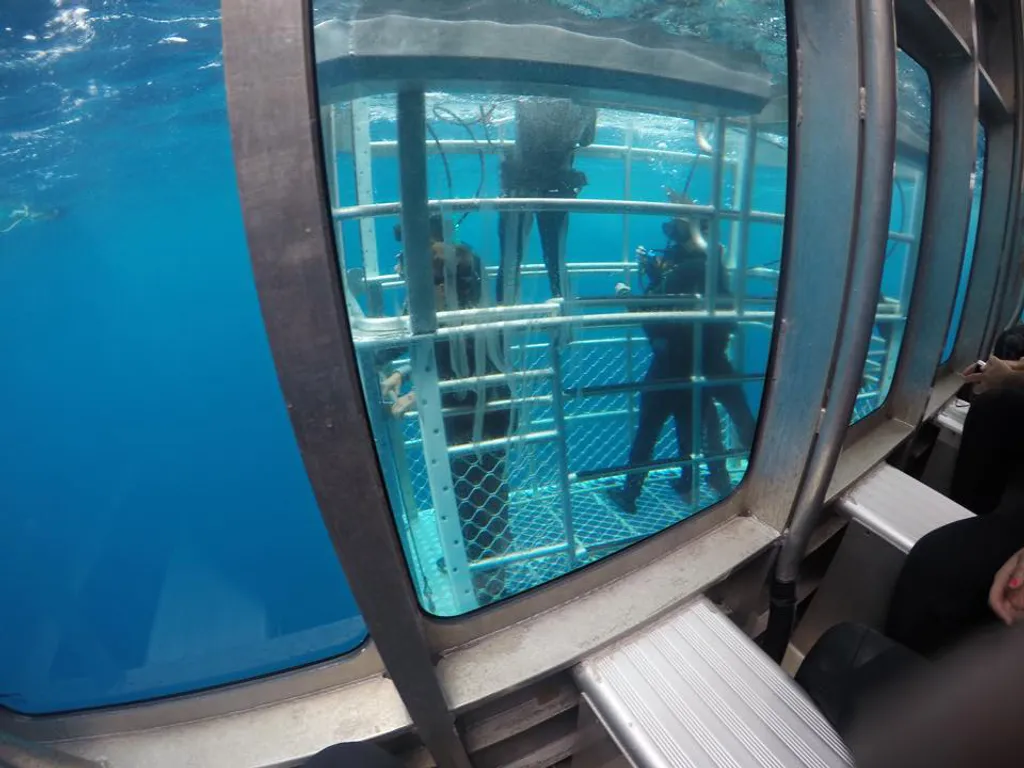 Fotó: Adventure Bay Charters 