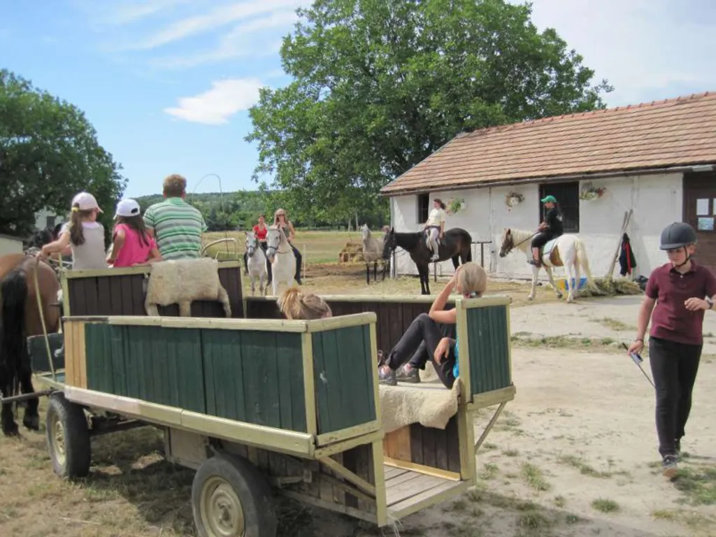 Fotó: Szentesi Farm 