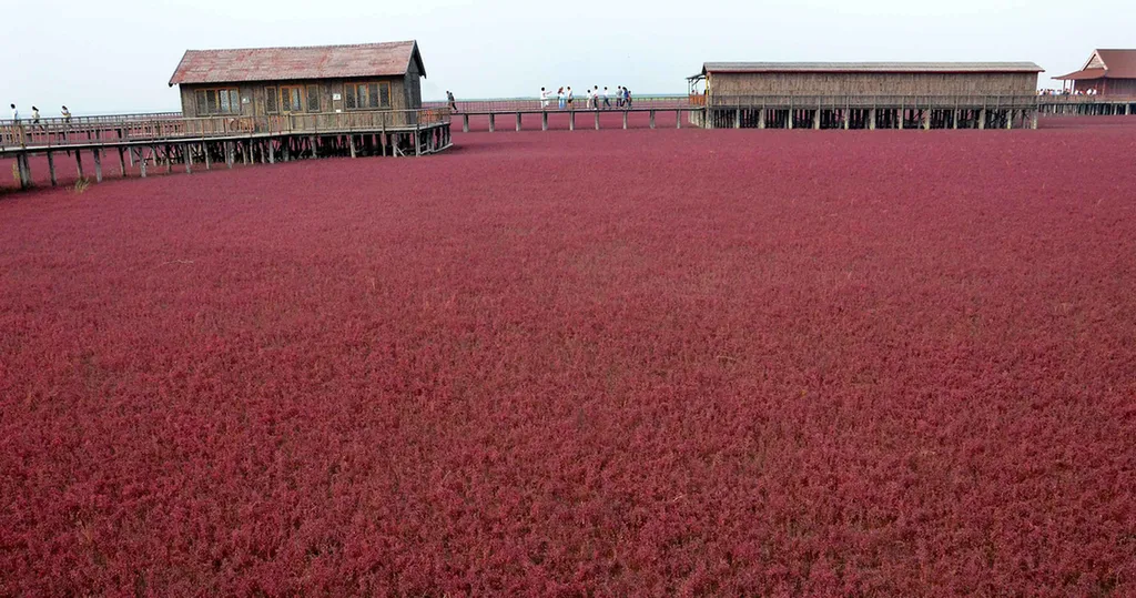 Fotó: Xinhua / Eyevine / Northfoto 