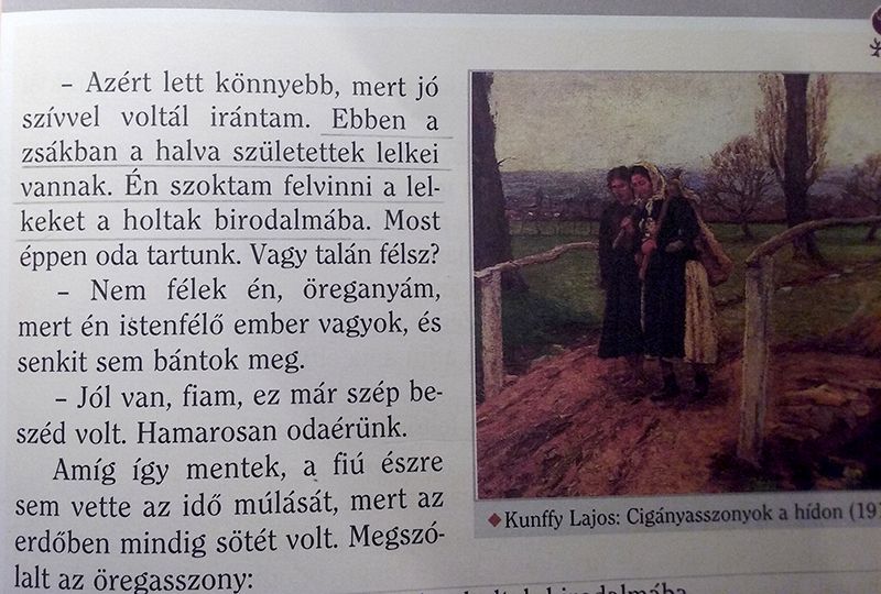 iskolások oktatás tankönyv