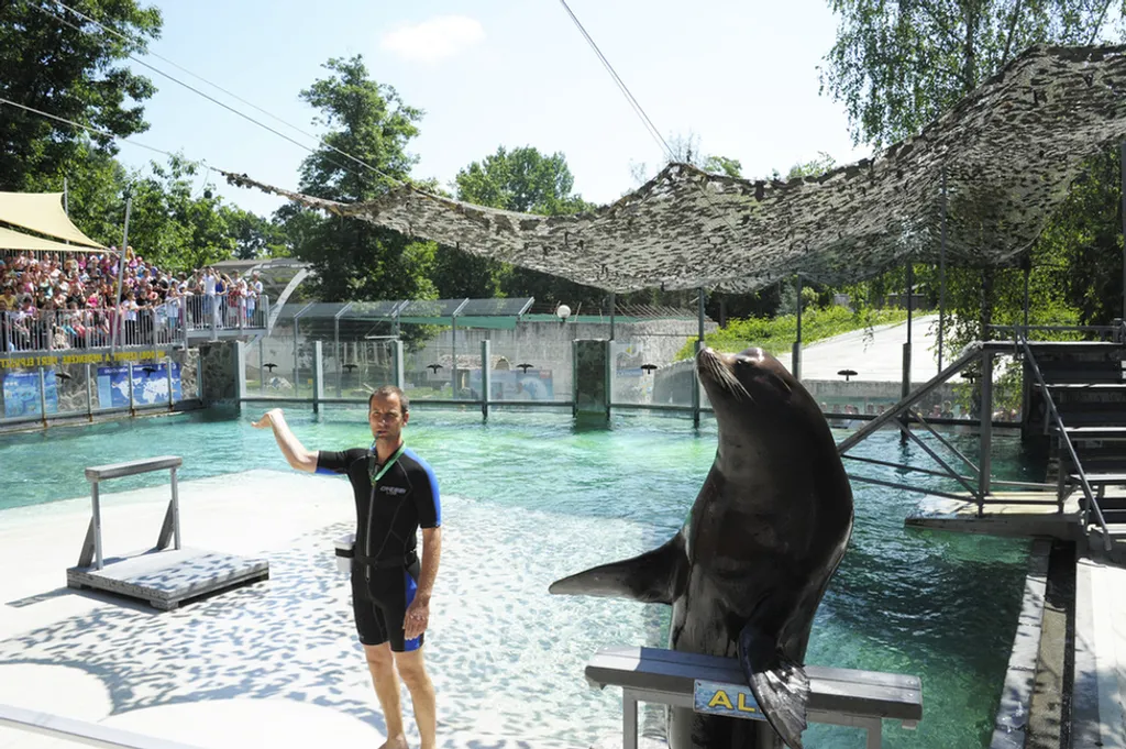 Fotó: Nyíregyházi Állatpark 