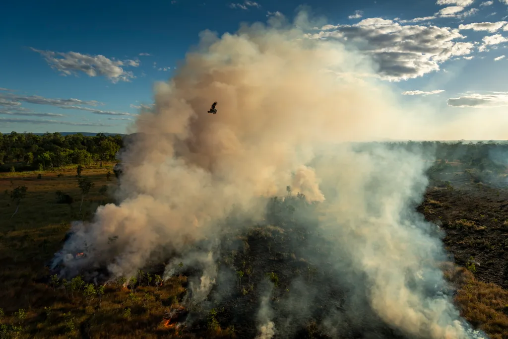 Forrás: MTI/EPA/World Press Photo Alapítvány/Matthew Abbott