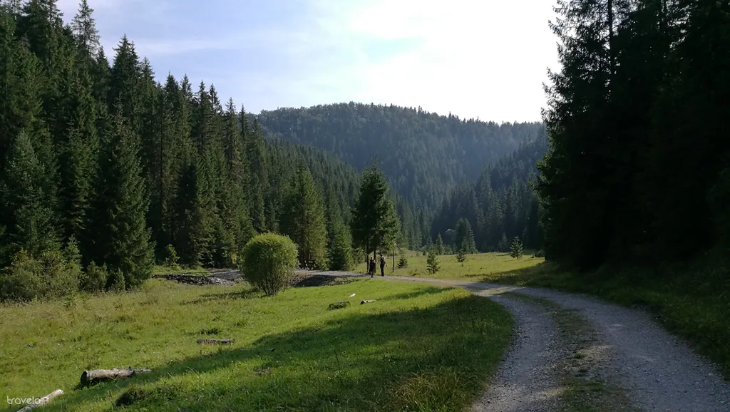 Fotó: Lónárt Dániel 
