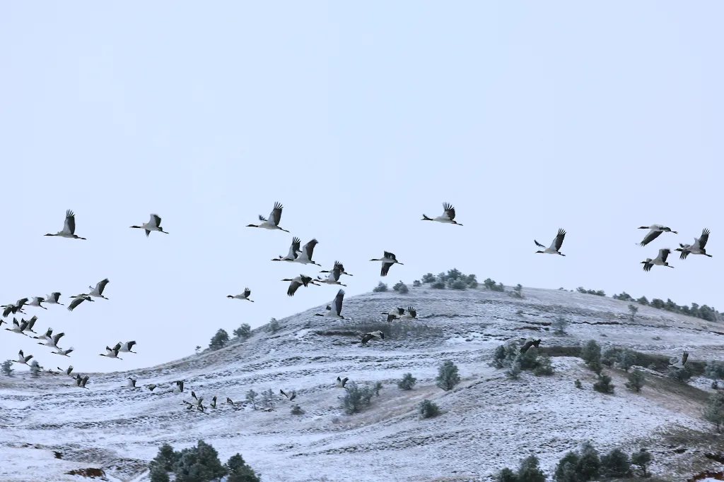 Forrás: Xinhua via AFP/Xinhua News Agency.All Rights Reserved/Lin Bifeng