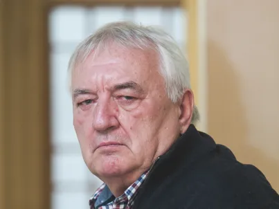 Havas Henrik képe