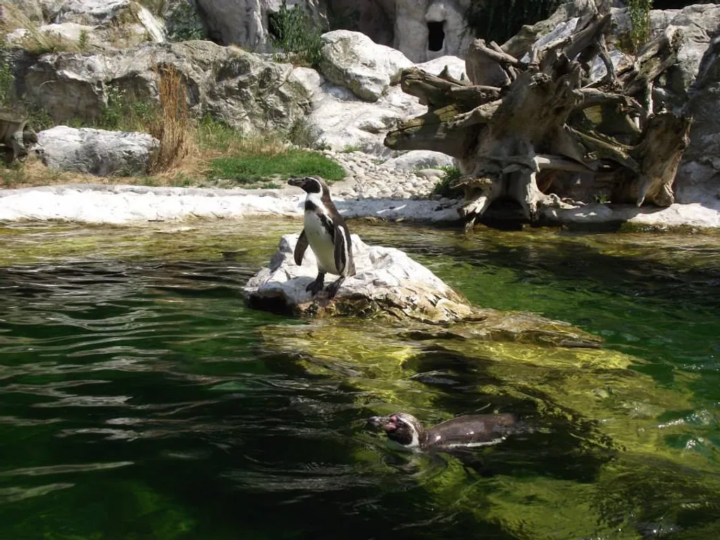 Zoo Vienna Schönbrunn 