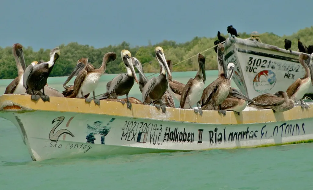 Fotó: Katona Andrea, Orbán Gábor / Cancun.hu 