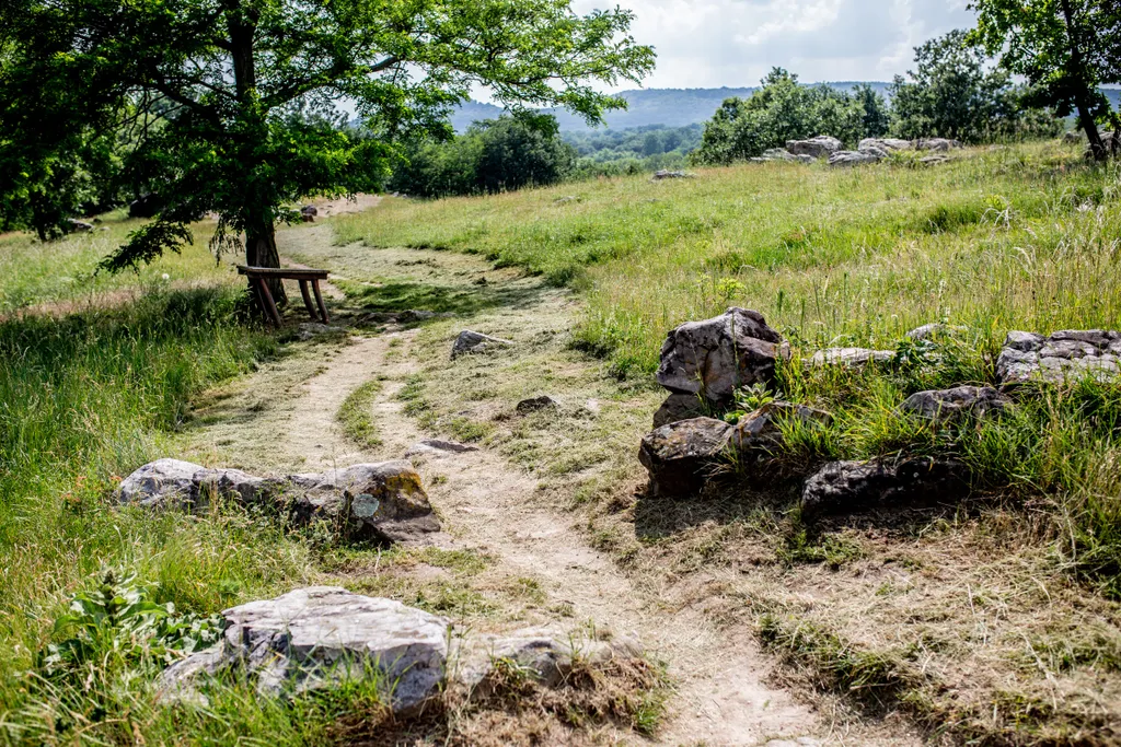Forrás: Csudai Sándor / Travelo 