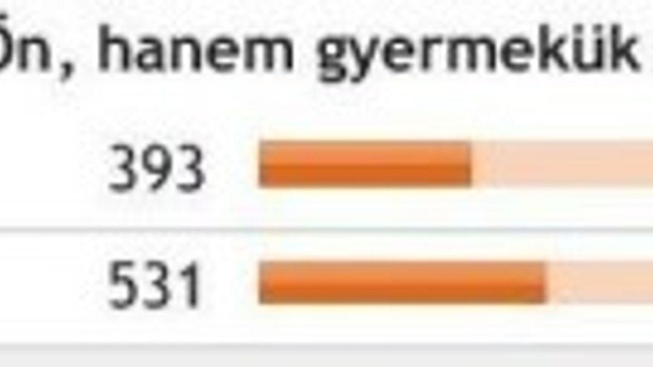 Anyaság és munka kutatás 6 - Apák gyeden?