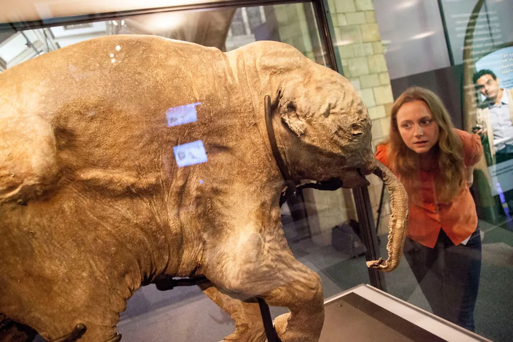 Fotó: Kevin Webb/nhm Image Resources / Natural History Museum 