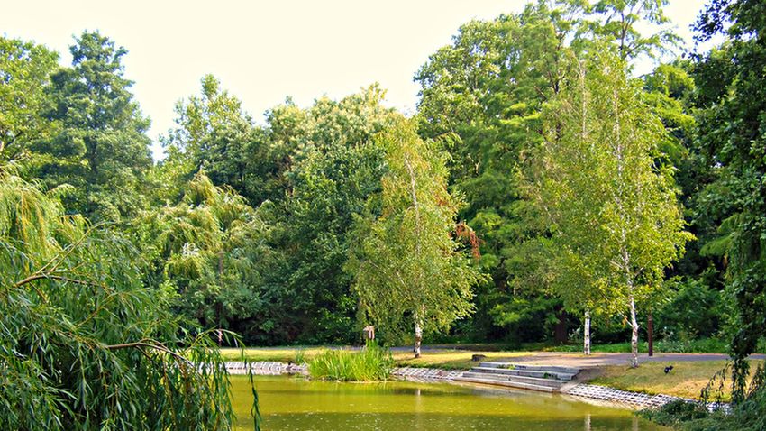 Debrecen rákapcsol a wellnessre