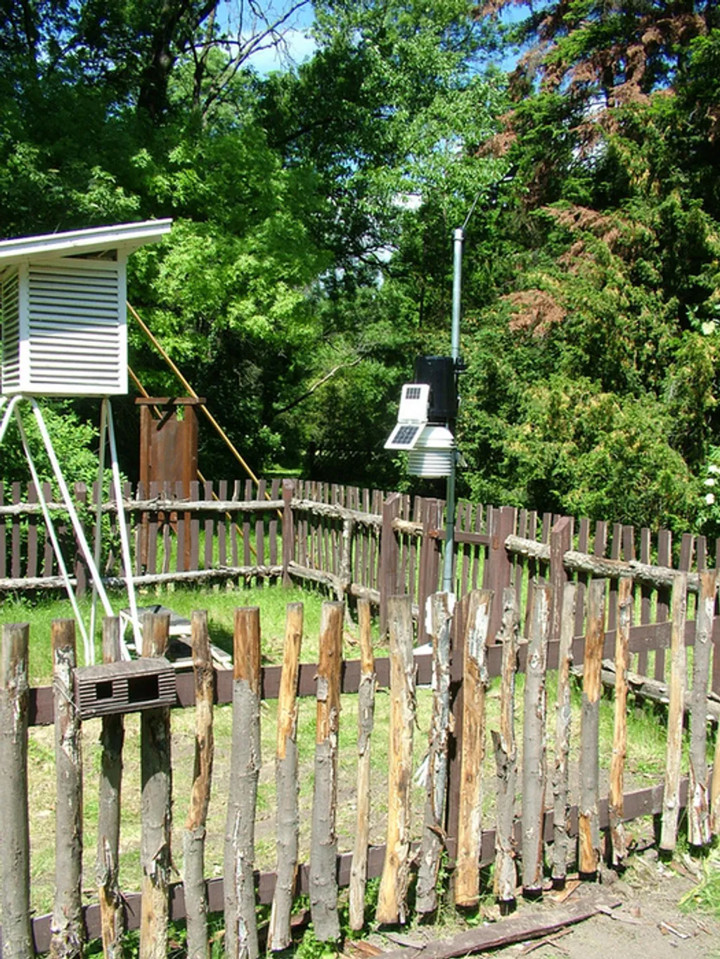 Fotó: Szarvasi Arborétum 
