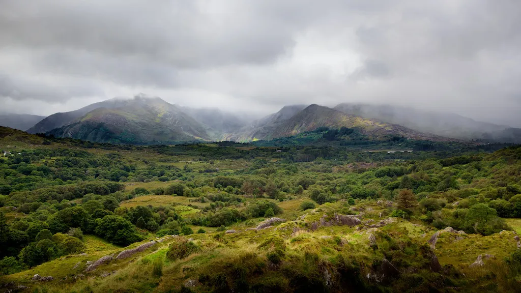 Fotó: Michael Foley / flickr 