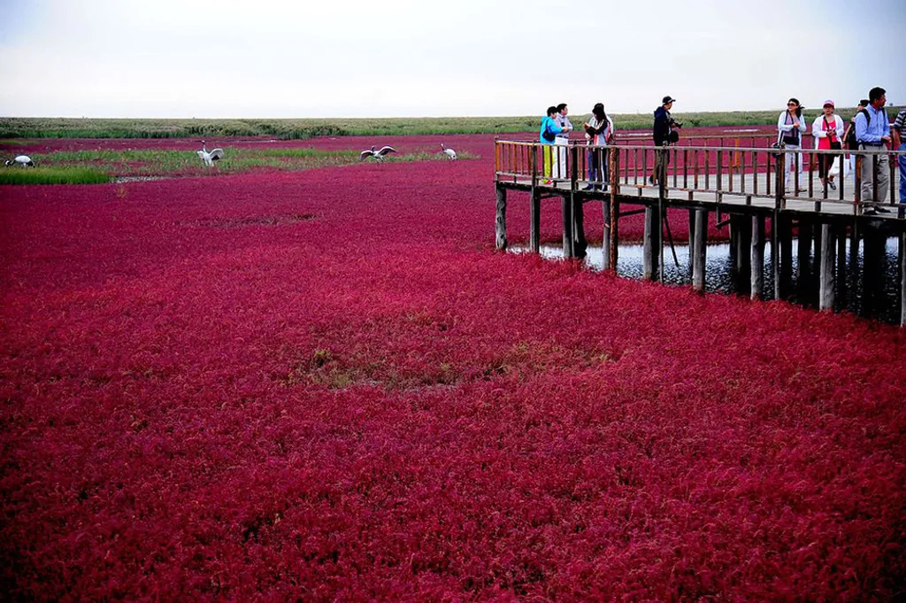 Fotó: ChinaFotoPress / Europress / Getty 