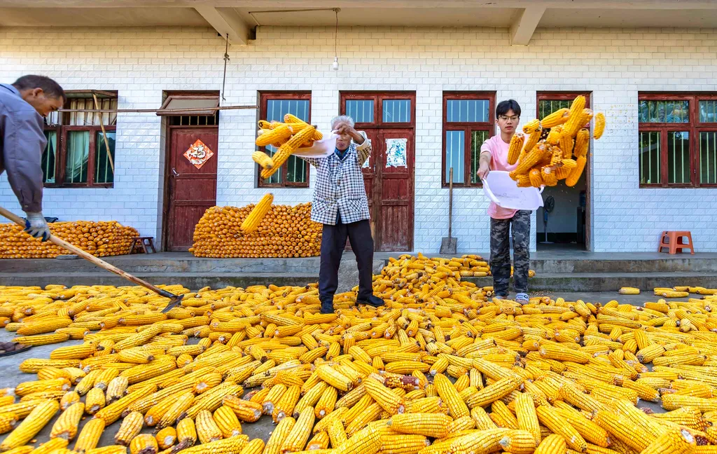 Forrás: Xinhua via AFP/Xinhua News Agency.All Rights Reserved/Fan Hui