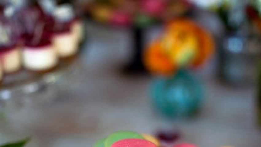 Macaron Nap 2013