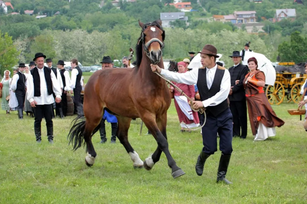 Fotó: Szentendrei skanzen 