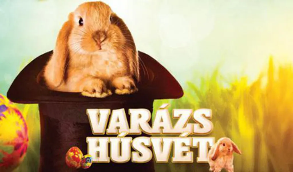 Fotó: Bűvész Színház / Bűvész Színház 