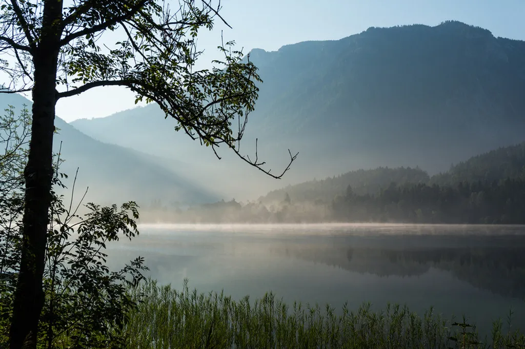 Fotó: Jakob Hźrner / flickr 