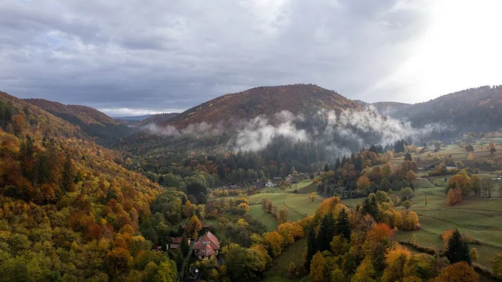 Forrás: MTI/Kiss Gábor