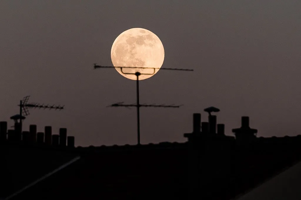 Forrás: Hans Lucas via AFP/Arthur Nicholas Orchard
