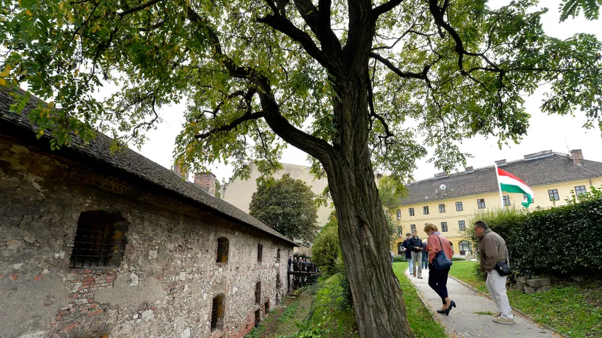 Táncsics börtöne a budai Várban