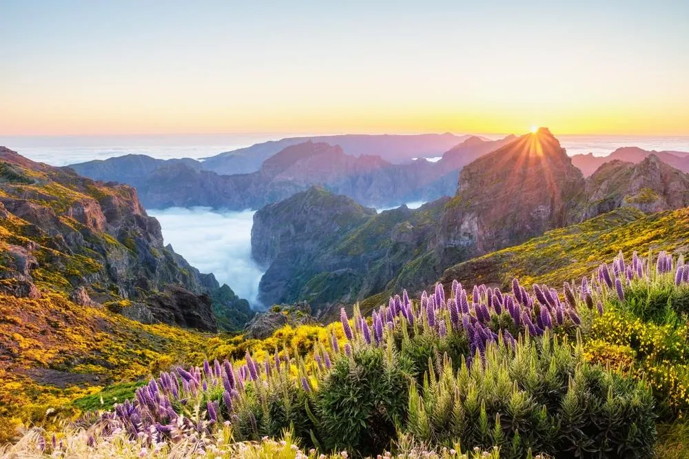 Madeira, Portugália, táj hegyekkel és virágokkal
