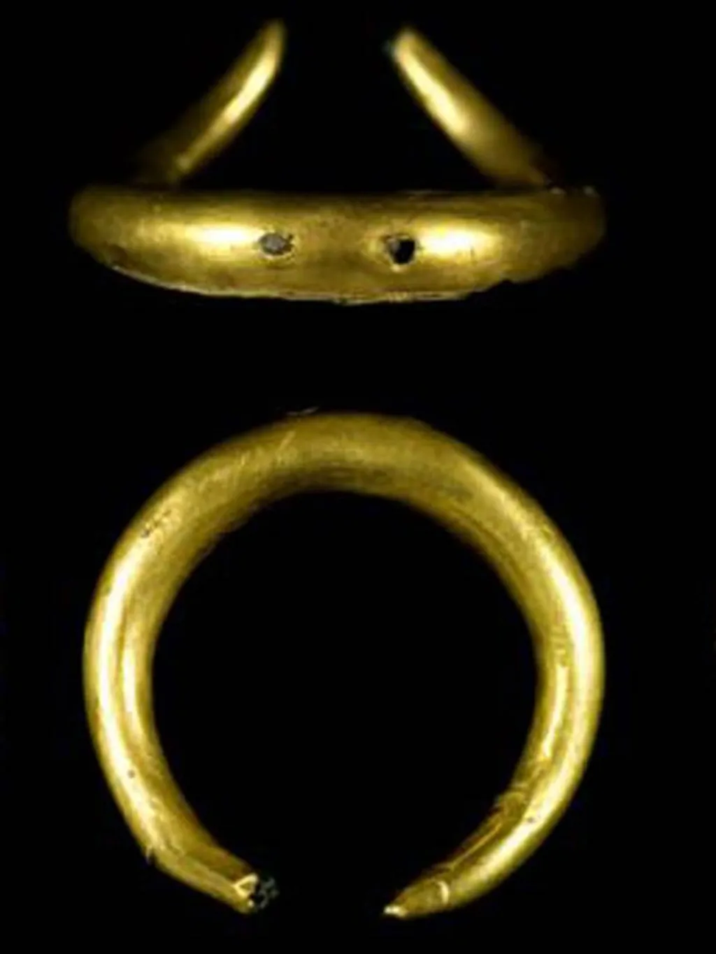 Fotó: David Keys/Wiltshire Museums 