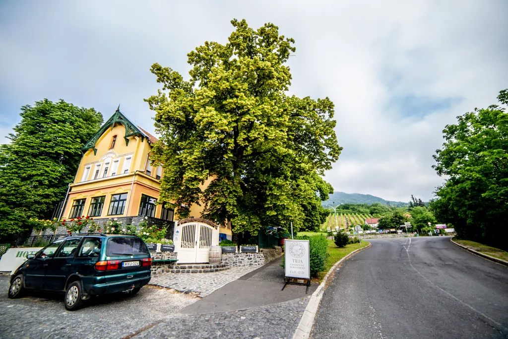 Forrás: Csudai Sándor / Travelo 