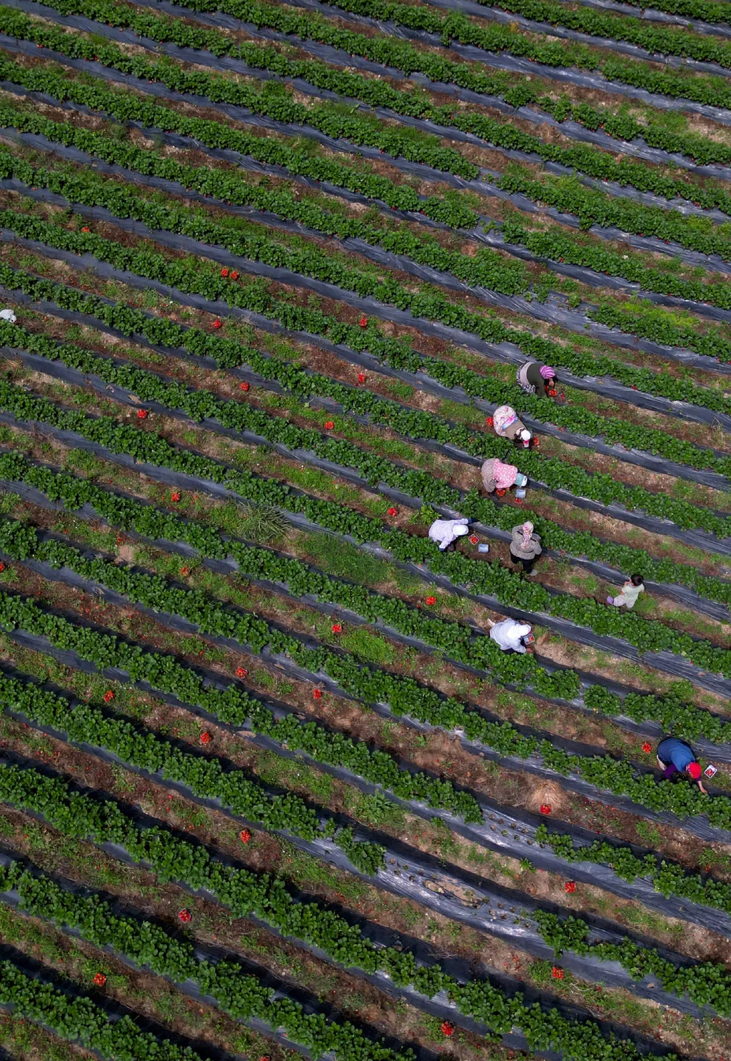 Forrás: Anadolu via AFP/2024 Anadolu/Metin Pala