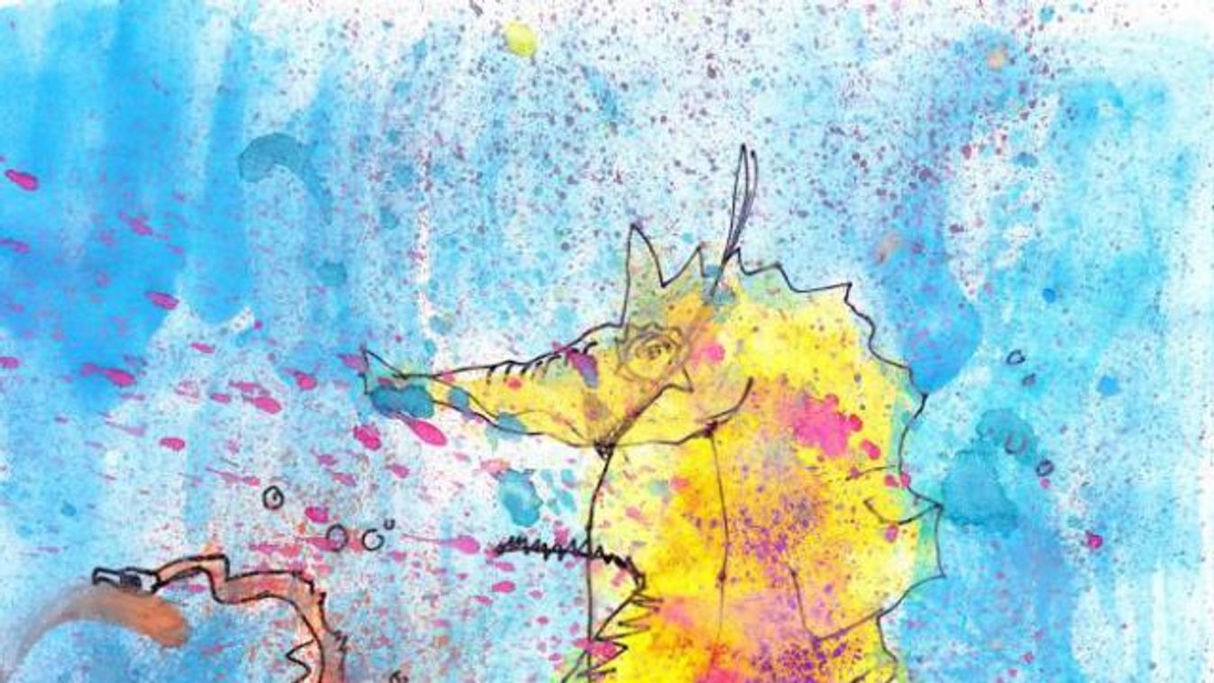 Pénteki mese: Simon Réka Zsuzsanna:  Zete, a hosszúorrú csikóhal